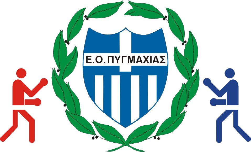 Πυγμαχία: Ο Ανδρέας Δημαρέλλης Α' αντιπρόεδρος της Ομοσπονδίας